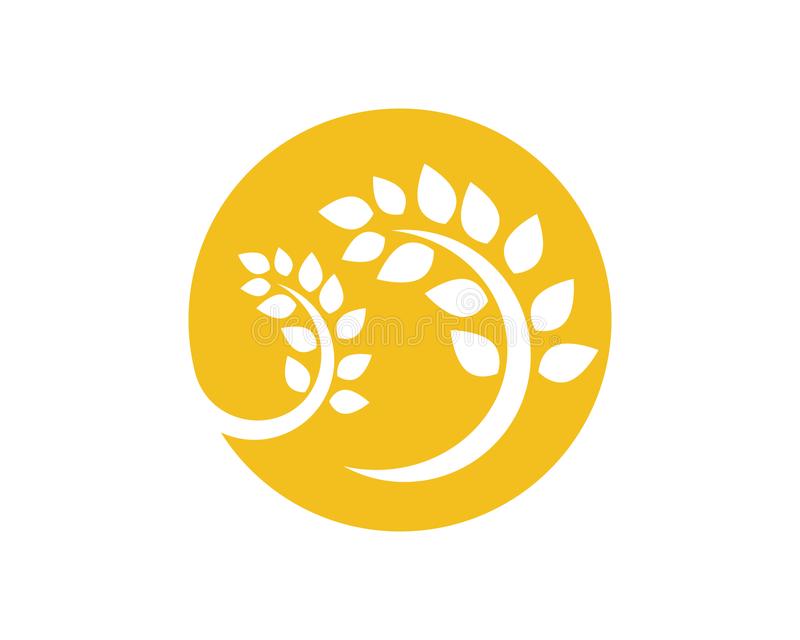 星空综合:《哈利波特》赫敏将全裸出演意大利名导新片(图1) 星空·综合体育