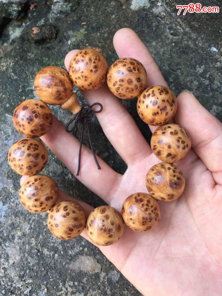 星空·综合体育