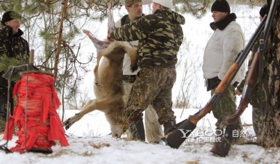 星空·综合体育