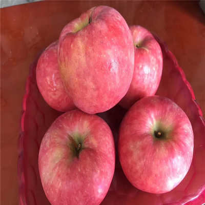 星空·综合体育