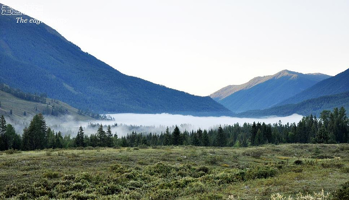 灵宝市第六小学举行“相亲相爱一家人”庆元旦教职工联欢会【星空综合】(图1) 星空综合