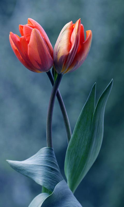 星空·综合体育