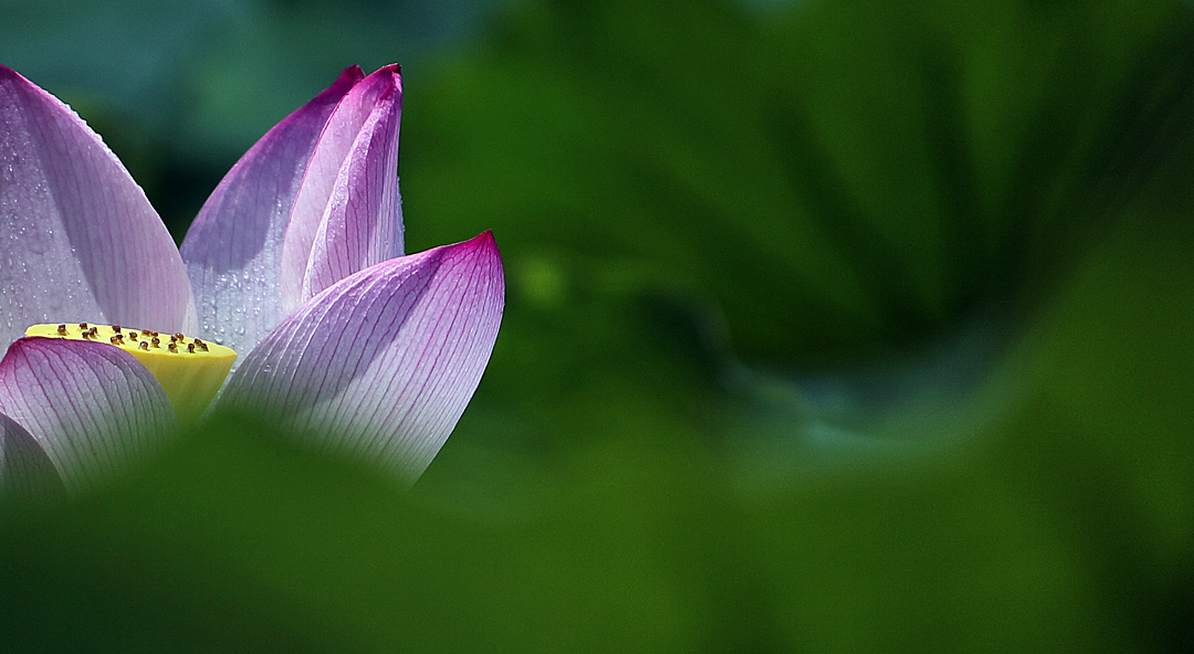 星空·综合体育